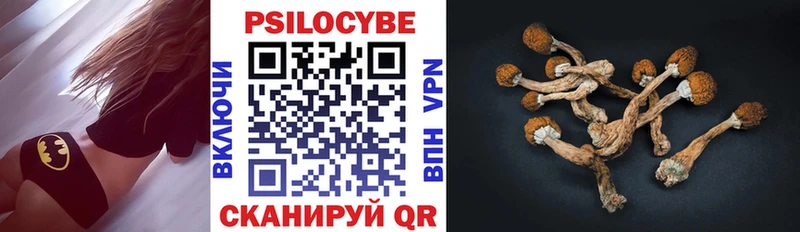 Купить где  Павловск  Псилоцибиновые грибы мицелий 